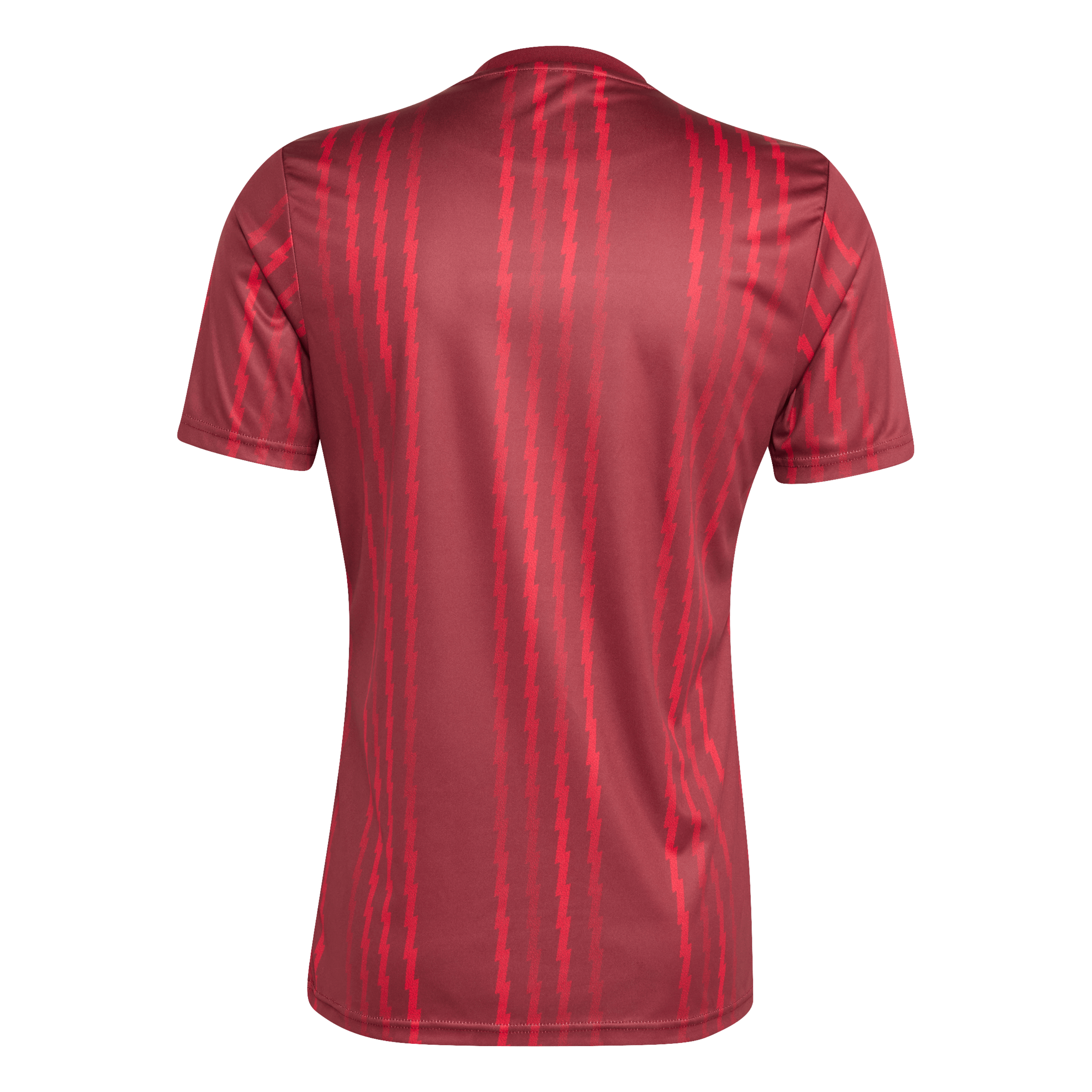 AFC FC ARSENAL LONDON Pre-Match Shirt Herren