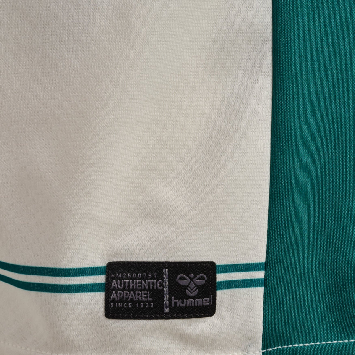 ASSE AS Saint-Étienne-uitshirt heren 2026/27