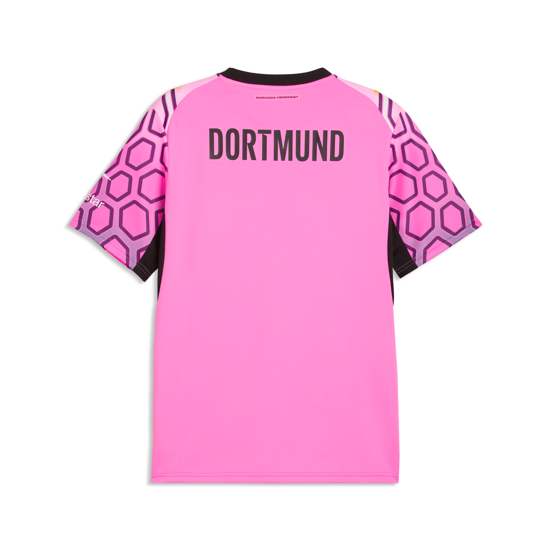 BVB BORUSSIA DORTMUND Torwarttrikot Herren Lila 26 / 27