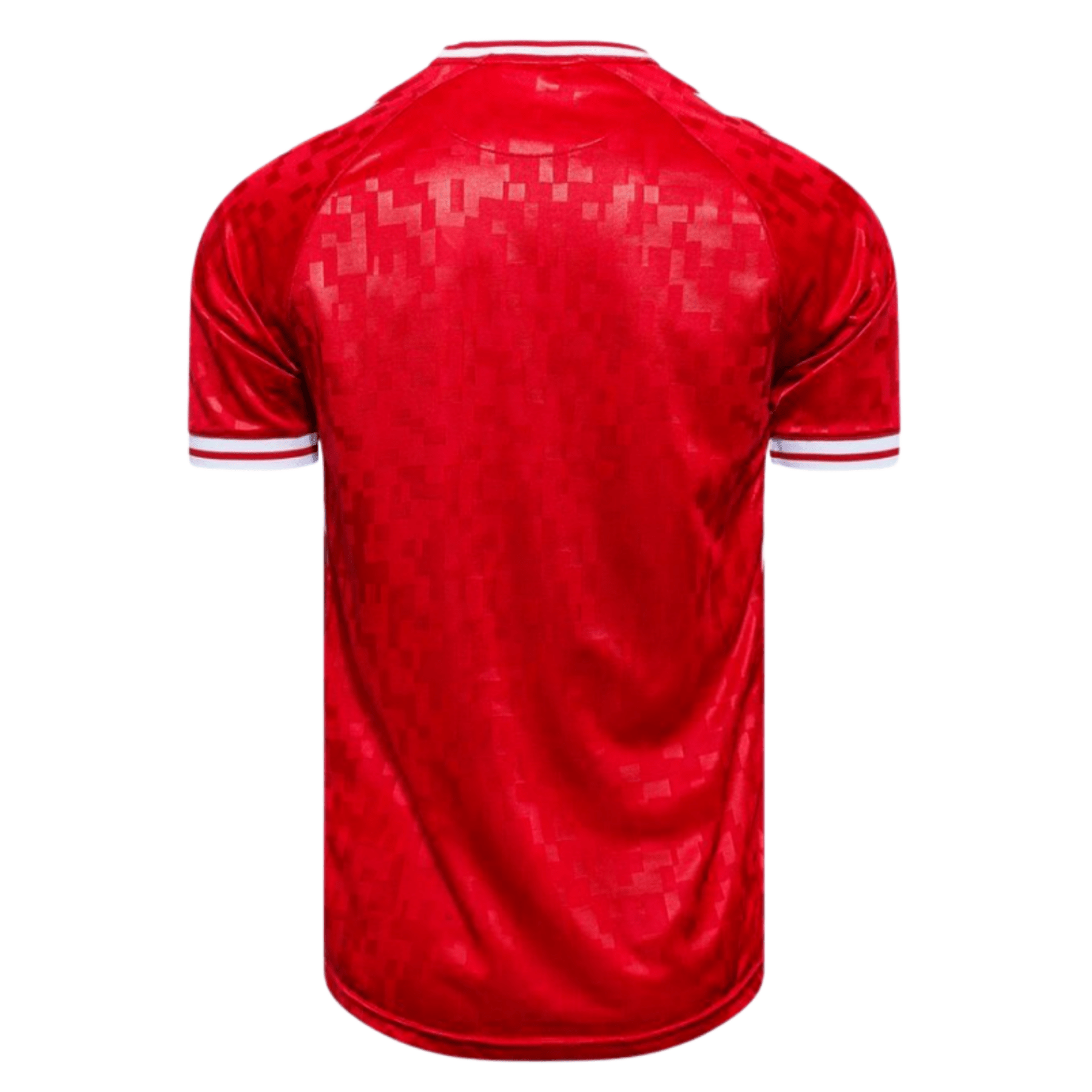 DBU DÄNEMARK Heimtrikot Herren EURO 2024