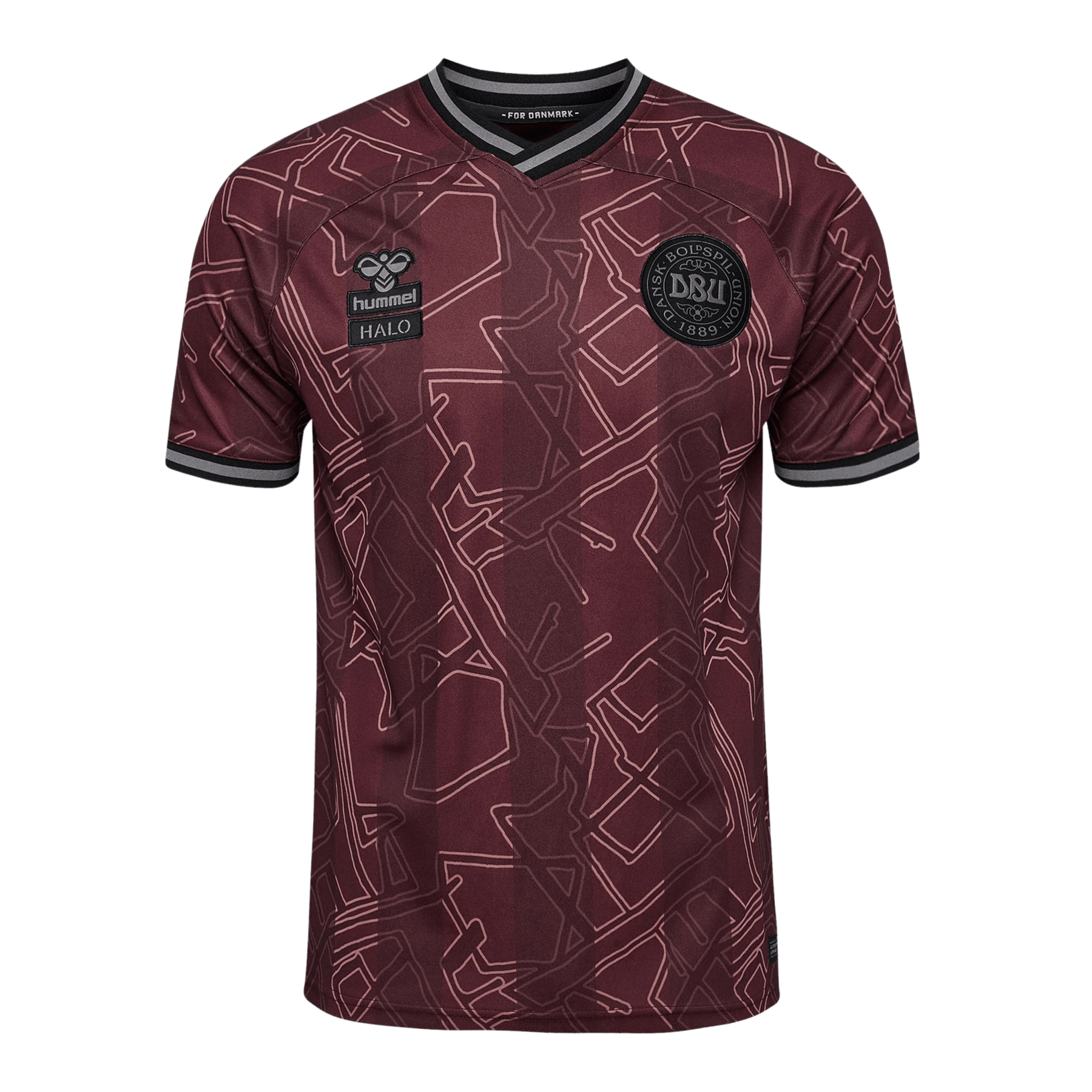 DBU DÄNEMARK X HALO Trikot Spezial Herren 2024