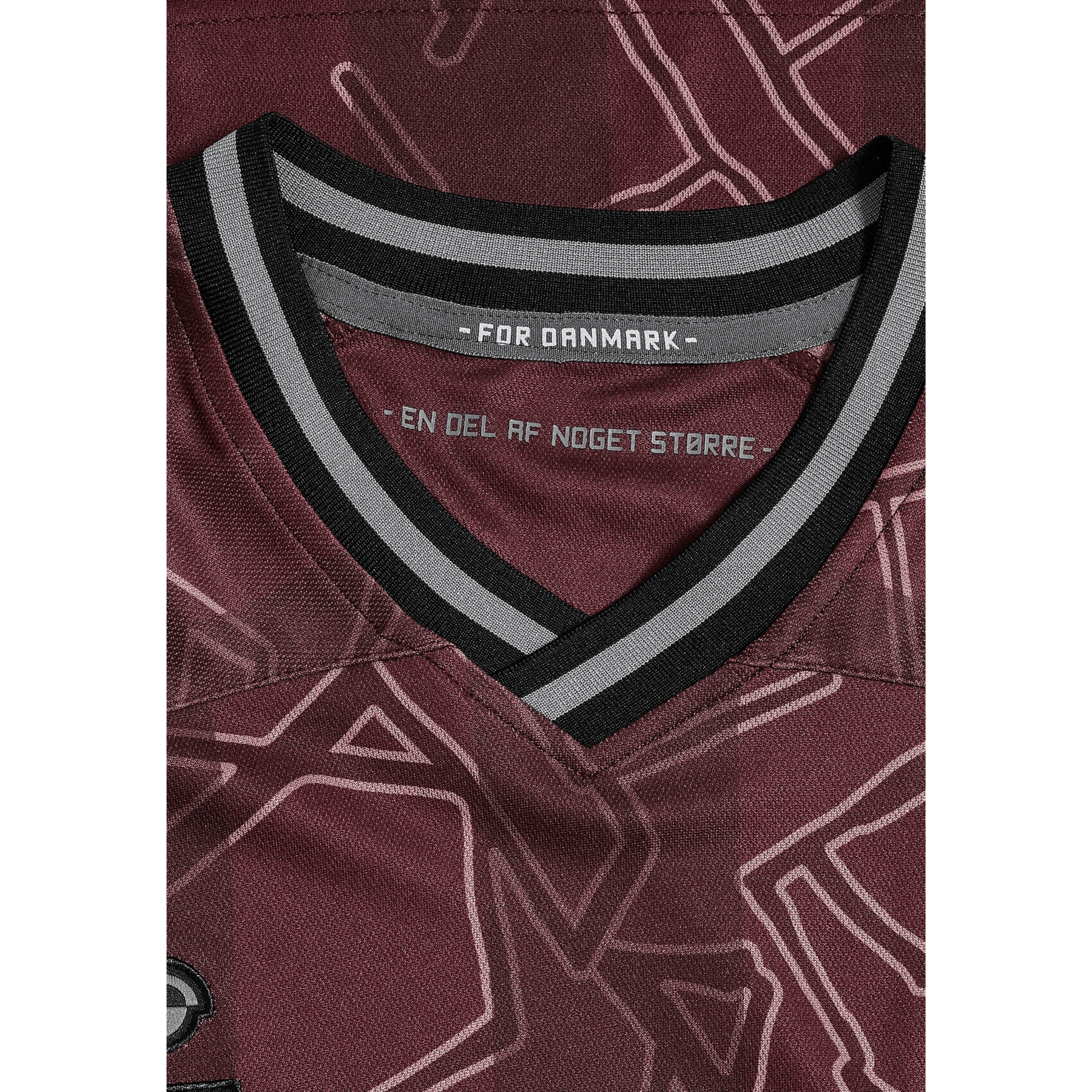 DBU DÄNEMARK X HALO Trikot Spezial Herren 2024
