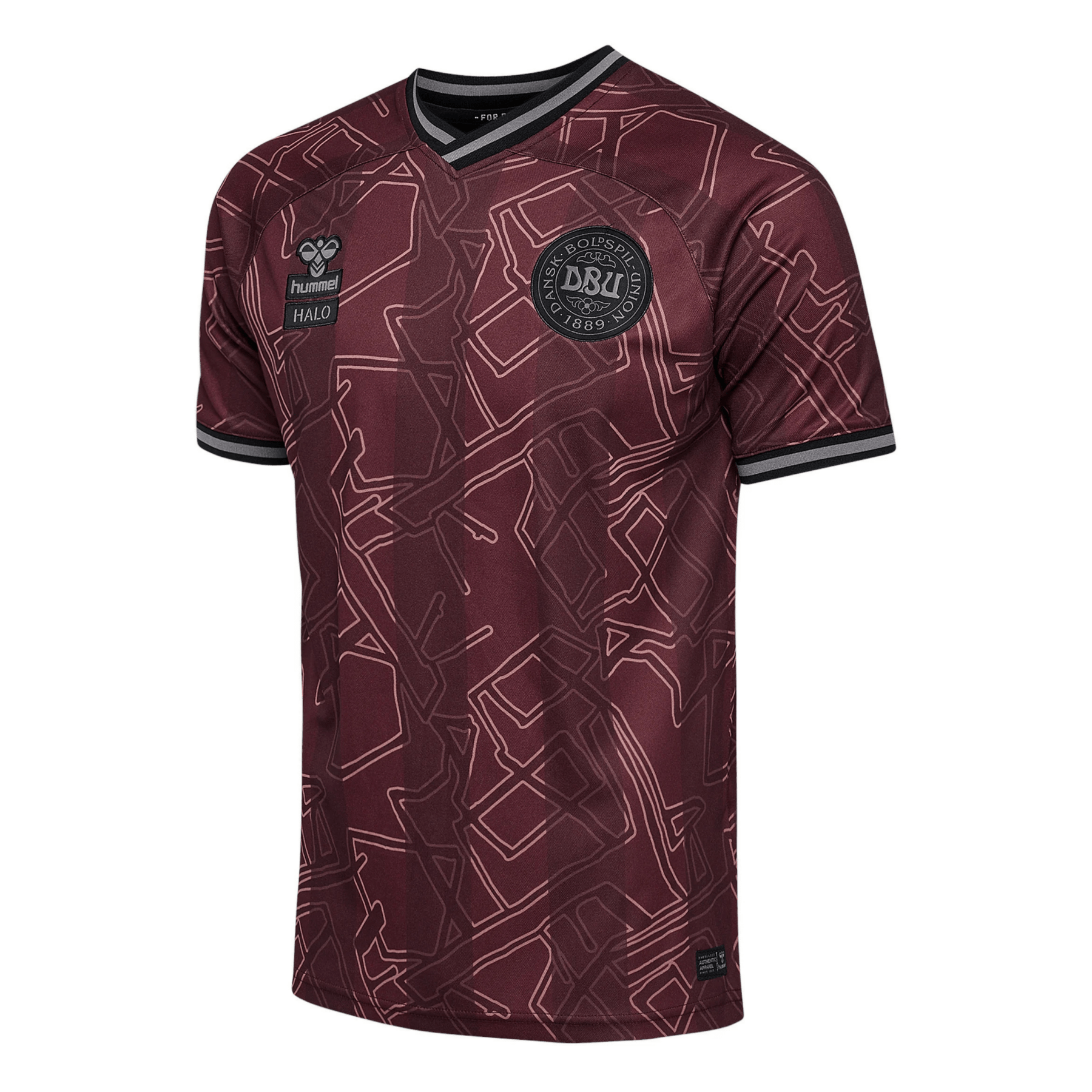DBU DÄNEMARK X HALO Trikot Spezial Herren 2024
