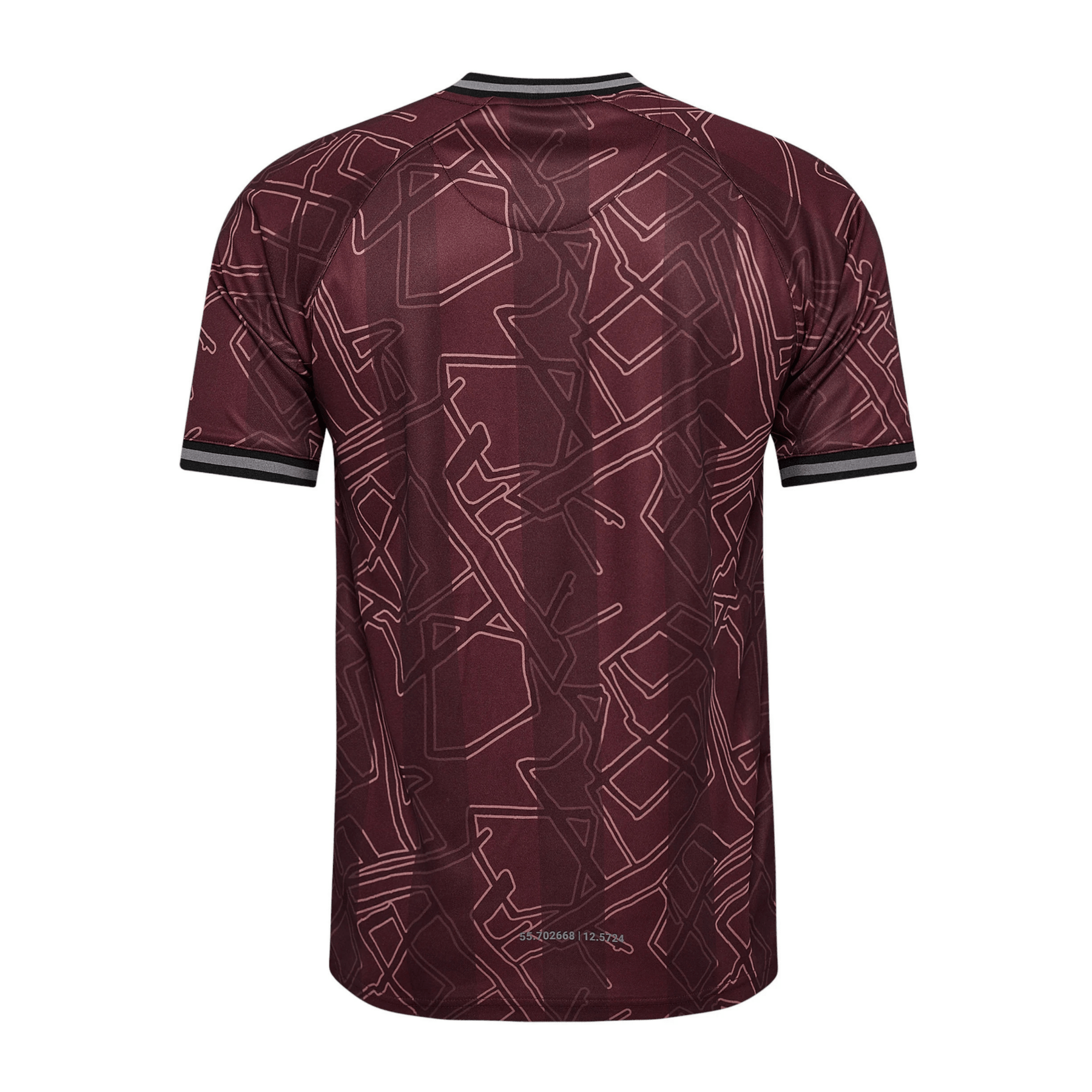 DBU DÄNEMARK X HALO Trikot Spezial Herren 2024