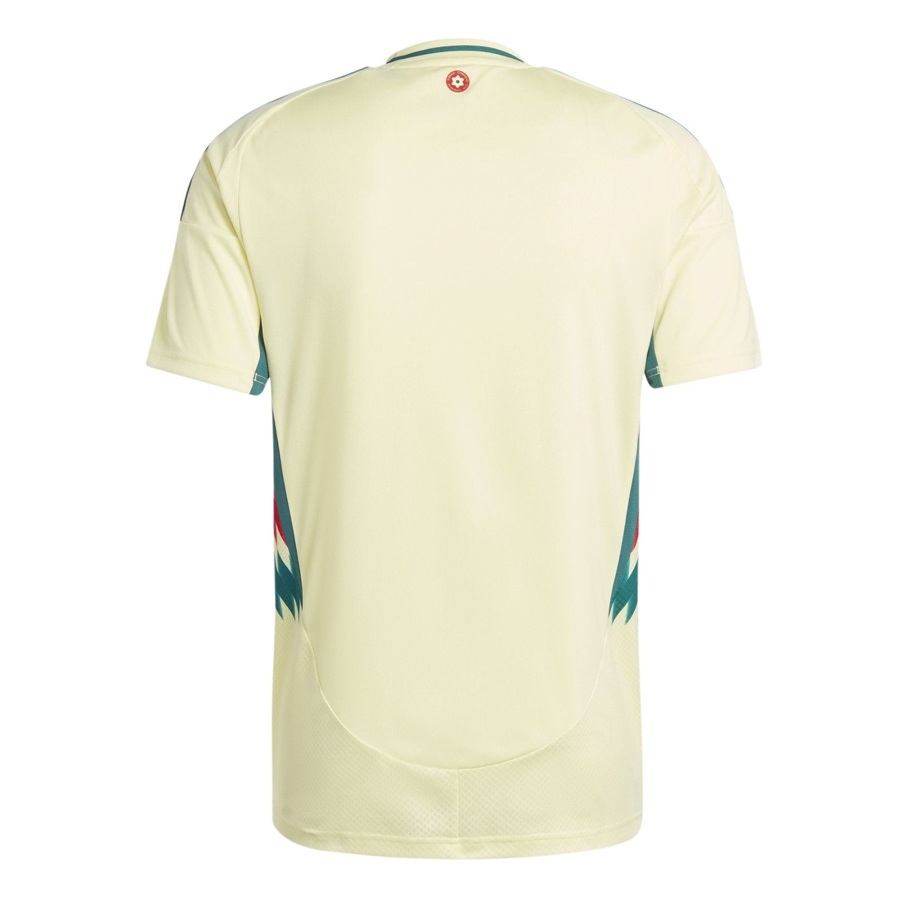 FAW WALES Auswärts-Trikot Herren 24 / 25