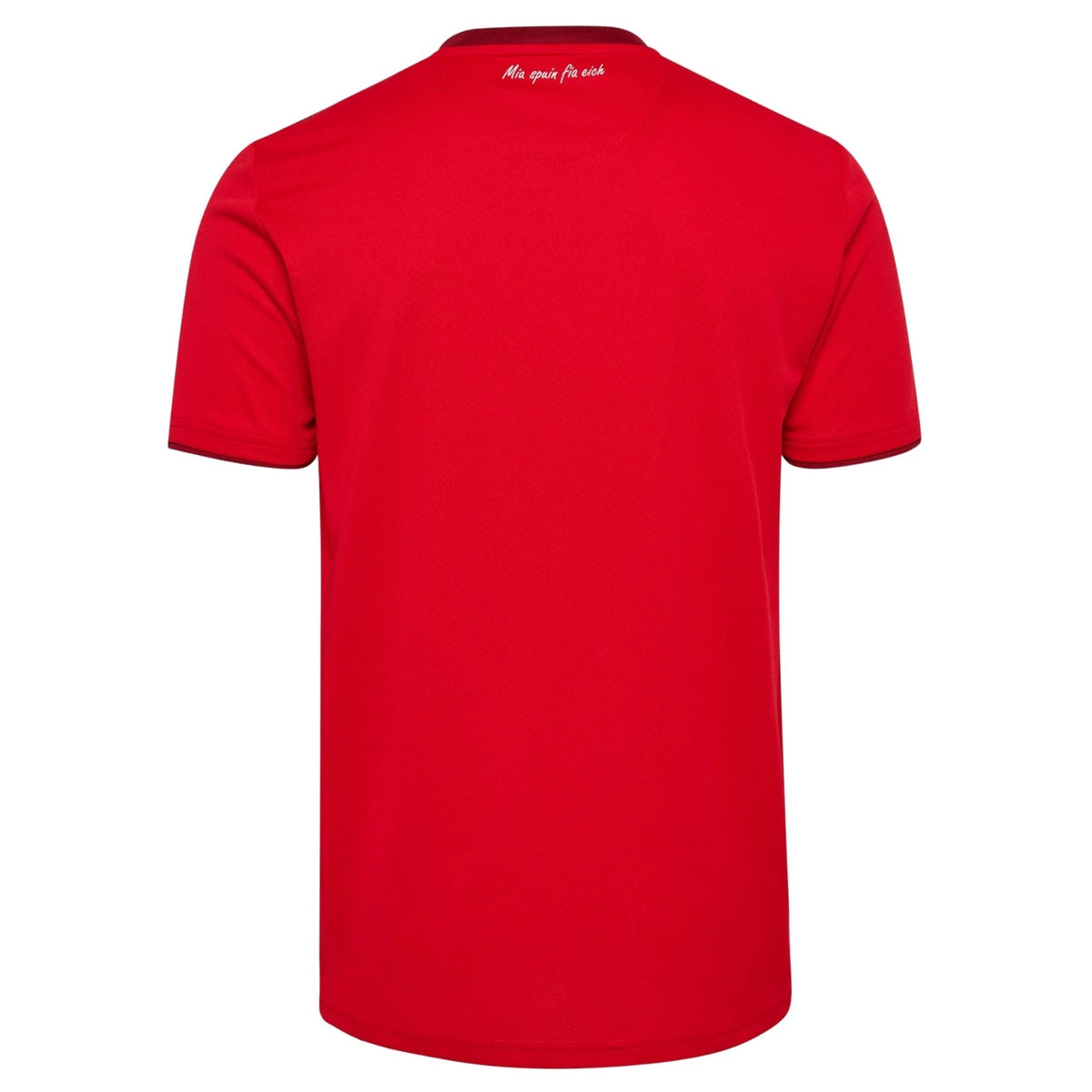 SSV Jahn Regensburg uitshirt heren 2026/27